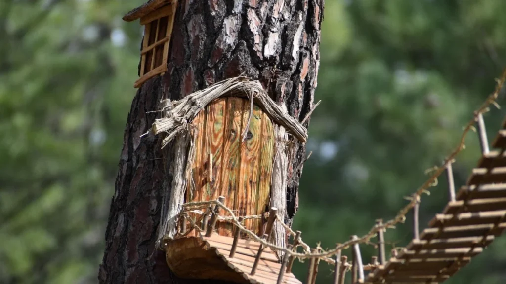 🌲 La Senda Encantada: Otoño Mágico en Villaverde de Guadalimar