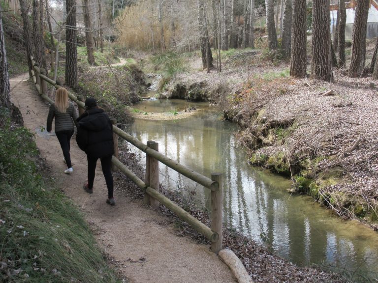 Ruta de los Molinos – Fuente La Mearrera (Almansa)